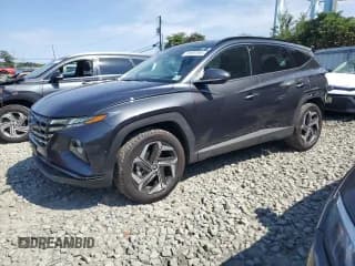 ✅ 2024 Hyundai Tucson Limited • VIN: 5NMJECDEXRH344316 • Лот: 80693895. Опубликован ранее на Copart с пробегом 12 430 миль. Бесплатный доступ к архиву аукционных продаж из США и подробный отчёт об истории автомобиля на DreamBid. Изображение 1.