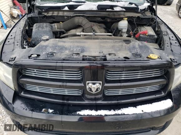 ✅ 2010 Dodge 1500 ST • VIN: 1D7RV1CT0AS211960 • Lot: 87252764. Wystawiony na Copart z przebiegiem 176 314 mil. Bezpłatny archiwum sprzedaży aukcyjnych z USA i szczegółowy raport historii pojazdu na DreamBid. Zdjęcie 11.