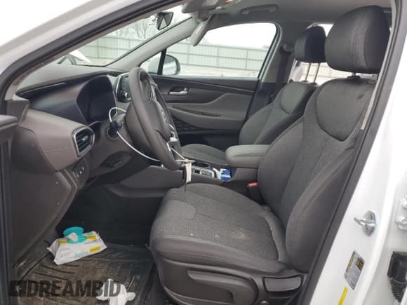 ✅ 2020 Hyundai Santa Fe SE • VIN: 5NMS23AD4LH282279 • Lot: 41393514. Wystawiony na Copart z przebiegiem 36 587 mil. Bezpłatny archiwum sprzedaży aukcyjnych z USA i szczegółowy raport historii pojazdu na DreamBid. Zdjęcie 7.