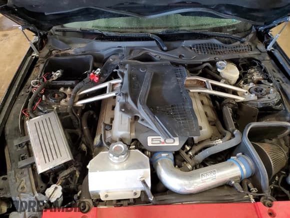 ✅ 2017 Ford Mustang GT • VIN: 1FA6P8CF6H5263442 • Lot: 71902295. Listed on Copart with 47,462 mi. Free auction sales archive from the USA and detailed vehicle history report at DreamBid. Image 11.