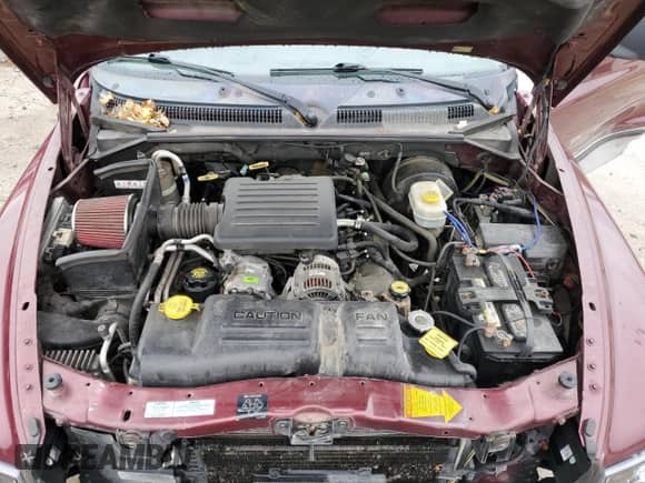 2000 Dodge Dakota Sport z VIN 1B7GG26N8YS795890, wystawiony jako Copart lot #78523764 z przebiegiem 214 933 mil mil oraz Szkoda całkowita • Salvage title. Historia ofert i sprzedaży dostępna na DreamBid. Obrazek 11.