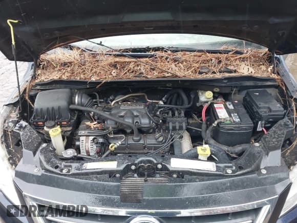 ✅ 2010 Volkswagen Routan SE • VIN: 2V4RW3D15AR280277 • Lot: 43831864. Listed on IAAI with 182,190 mi. Free auction sales archive from the USA and detailed vehicle history report at DreamBid. Image 10.