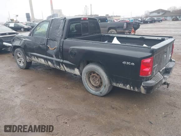 2010 Dodge Dakota Bighorn/Lonestar with VIN 1D7CW3BKXAS104194, listed as a IAAI auction lot 41715084 with 188,981 mi miles and . Bid and sale history available at DreamBid. Image 3.