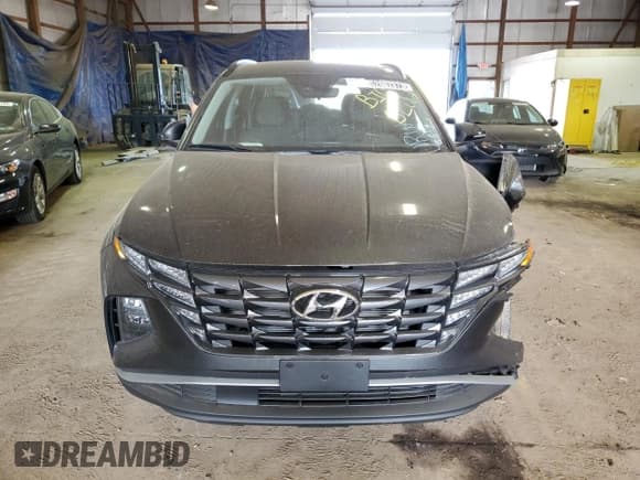 ✅ 2023 Hyundai Tucson SEL • VIN: 5NMJBCAEXPH216765 • Lot: 52007373. Wystawiony na Copart z przebiegiem 2 314 mil. Bezpłatny archiwum sprzedaży aukcyjnych z USA i szczegółowy raport historii pojazdu na DreamBid. Zdjęcie 5.