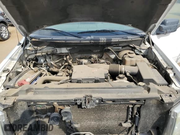 ✅ 2009 Ford F-150 XL • VIN: 1FTRF12W19KA40053 • Lot: 66937185. Listed on Copart with 205,079 mi. Free auction sales archive from the USA and detailed vehicle history report at DreamBid. Image 11.