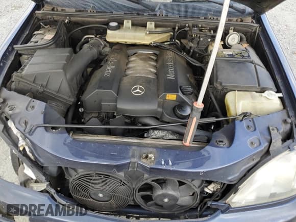 ✅ 1999 Mercedes-Benz M 320/430/500 • VIN: 4JGAB72E0XA088404 • Lot: 69729635. Wystawiony na Copart z przebiegiem 345 657 mil. Bezpłatny archiwum sprzedaży aukcyjnych z USA i szczegółowy raport historii pojazdu na DreamBid. Zdjęcie 12.