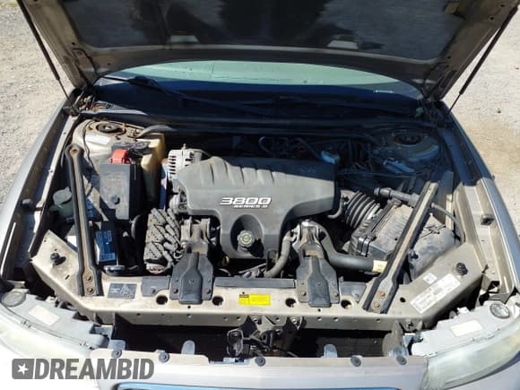 ✅ 1999 Buick Regal LS • VIN: 2G4WB52K1X1517916 • Lot: 43079791. Wystawiony na IAAI z przebiegiem 248 406 mil. Bezpłatny archiwum sprzedaży aukcyjnych z USA i szczegółowy raport historii pojazdu na DreamBid. Zdjęcie 10.