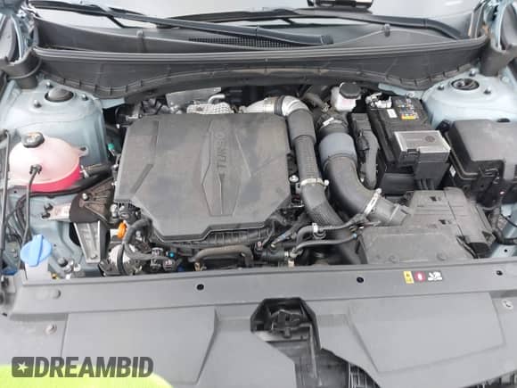 ✅ 2022 Hyundai Santa Cruz SEL Premium • VIN: 5NTJDDAFXNH035269 • Лот: 40962591. Размещён на IAAI с пробегом 15 633 миль миль. Получите бесплатный доступ к архиву аукционных продаж из США и посмотрите подробный отчёт об истории автомобиля на DreamBid. Изображение 10.