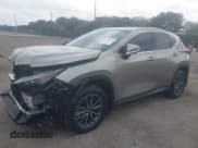 ✅ 2025 Lexus NX 250 • VIN: 2T2ADCAZ4SC024801 • Lot: 41727939. Listed on IAAI with 77 mi. Free auction sales archive from the USA and detailed vehicle history report at DreamBid. Image 2.