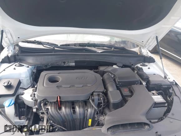 ✅ 2016 Kia Optima LX • VIN: 5XXGT4L34GG058012 • Lot: 43310857. Wystawiony na IAAI z przebiegiem 112 799 mil. Bezpłatny archiwum sprzedaży aukcyjnych z USA i szczegółowy raport historii pojazdu na DreamBid. Zdjęcie 10.