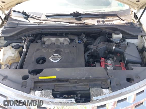 ✅ 2005 Nissan Murano SL • VIN: JN8AZ08T95W308771 • Lot: 42404210. Wystawiony na IAAI z przebiegiem 233 740 mil. Bezpłatny archiwum sprzedaży aukcyjnych z USA i szczegółowy raport historii pojazdu na DreamBid. Zdjęcie 10.