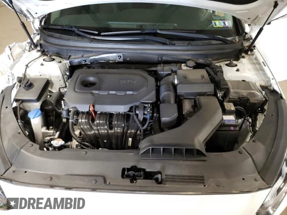 ✅ 2019 Hyundai Sonata SE • VIN: 5NPE24AF2KH796377 • Lot: 53004213. Listed on Copart with 52,129 mi. Free auction sales archive from the USA and detailed vehicle history report at DreamBid. Image 11.