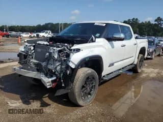 ✅ 2023 Toyota Tundra 1794 Edition • VIN: 5TFMA5DB9PX085168 • Lot: 61854505. Listed on Copart with 17,416 mi. Free auction sales archive from the USA and detailed vehicle history report at DreamBid. Image 1.