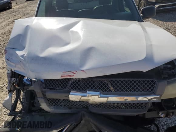 ✅ 2004 Chevrolet Silverado 1500 LS • VIN: 1GCEK14T94Z207157 • Лот: 73596464. Опубликован ранее на Copart с пробегом Не указан. Бесплатный доступ к архиву аукционных продаж из США и подробный отчёт об истории автомобиля на DreamBid. Изображение 13.