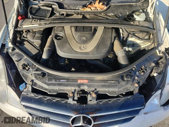 ✅ 2009 Mercedes-Benz R 3.5L • VIN: 4JGCB65E69A096119 • Lot: 82724925. Listed on Copart with 370,764 mi. Free auction sales archive from the USA and detailed vehicle history report at DreamBid. Image 12.