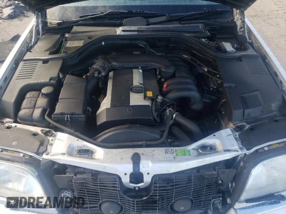 ✅ 1999 Mercedes-Benz S 320/430/500 • VIN: WDBGA33G0XA431270 • Lot: 85230524. Wystawiony na Copart z przebiegiem 203 242 mil. Bezpłatny archiwum sprzedaży aukcyjnych z USA i szczegółowy raport historii pojazdu na DreamBid. Zdjęcie 11.