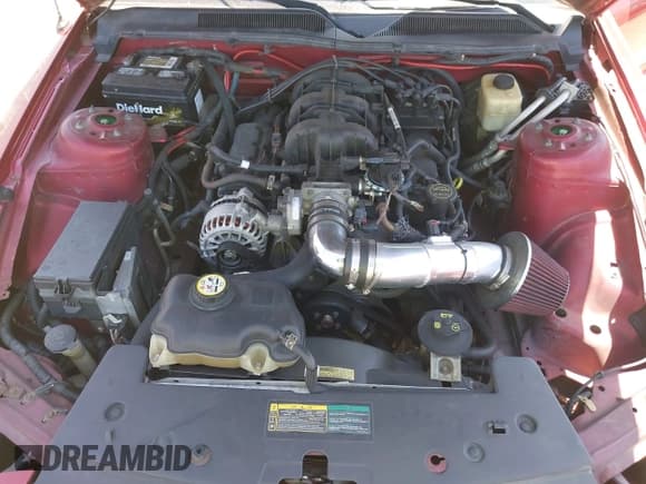 ✅ 2007 Ford Mustang Deluxe • VIN: 1ZVFT84N475249577 • Lot: 42008269. Listed on IAAI with 136,134 mi. Free auction sales archive from the USA and detailed vehicle history report at DreamBid. Image 10.