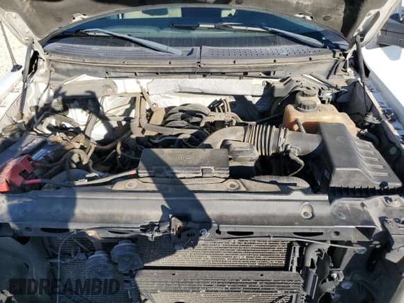 ✅ 2012 Ford F-150 XL • VIN: 1FTFW1EF1CFC00561 • Lot: 87075355. Listed on Copart with 286,049 mi. Free auction sales archive from the USA and detailed vehicle history report at DreamBid. Image 11.