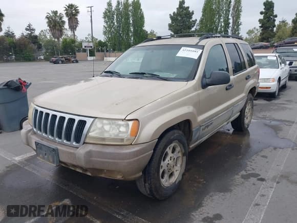 ✅ 1999 Jeep Grand Cherokee Laredo • VIN: 1J4G258S6XC788667 • Lot: 42101081. Wystawiony na IAAI z przebiegiem 255 368 mil. Bezpłatny archiwum sprzedaży aukcyjnych z USA i szczegółowy raport historii pojazdu na DreamBid. Zdjęcie 6.