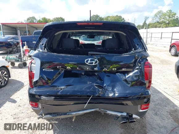 ✅ 2020 Hyundai Palisade SEL • VIN: KM8R44HE1LU106954 • Лот: 43363784. Опубликован ранее на IAAI с пробегом 64 512 миль. Бесплатный доступ к архиву аукционных продаж из США и подробный отчёт об истории автомобиля на DreamBid. Изображение 6.