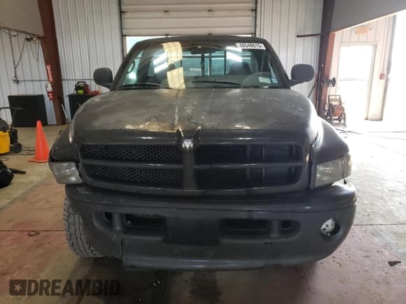 ✅ 1999 Dodge 1500 • VIN: 1B7HF16Y4XS146923 • Lot: 48548615. Listed on Copart with 247,260 mi. Free auction sales archive from the USA and detailed vehicle history report at DreamBid. Image 5.