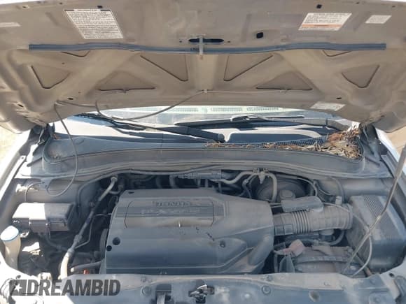 ✅ 2003 Honda Pilot EX • VIN: 2HKYF18653H598920 • Lot: 42426339. Listed on IAAI with 274,455 mi. Free auction sales archive from the USA and detailed vehicle history report at DreamBid. Image 10.