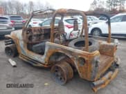 ✅ 1997 Jeep Wrangler SE • VIN: 1J4FY29P4VP542533 • Lot: 43603219. Wystawiony na IAAI z przebiegiem 145 000 mil. Bezpłatny archiwum sprzedaży aukcyjnych z USA i szczegółowy raport historii pojazdu na DreamBid. Zdjęcie 3.