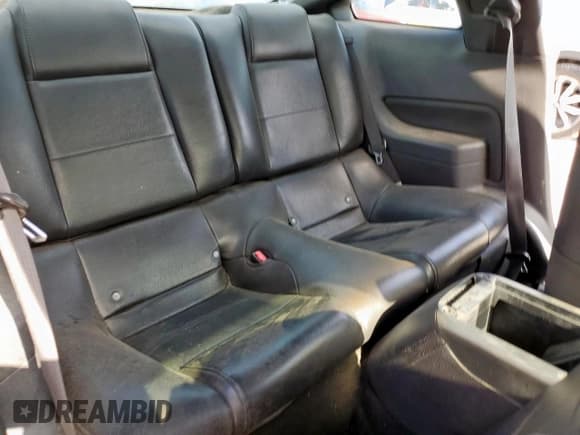 ✅ 2007 Ford Mustang Deluxe • VIN: 1ZVFT80N775342096 • Lot: 62793455. Wystawiony na Copart z przebiegiem 147 090 mil. Bezpłatny archiwum sprzedaży aukcyjnych z USA i szczegółowy raport historii pojazdu na DreamBid. Zdjęcie 10.