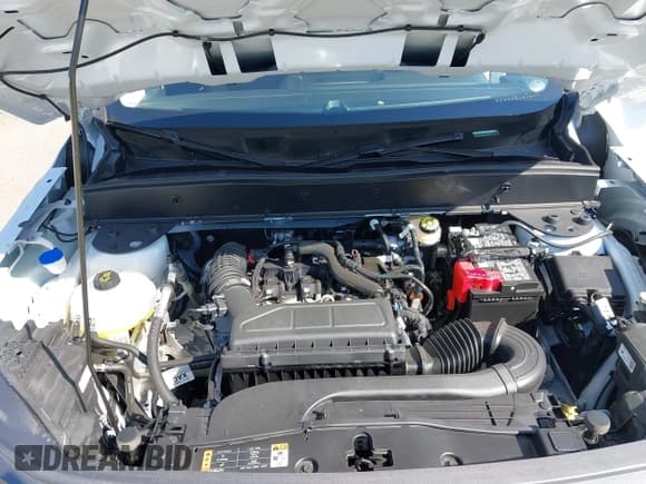 ✅ 2025 Ford Bronco Sport Big Bend • VIN: 3FMCR9BN9SRE04350 • Lot: 43130594. Listed on IAAI with 7,013 mi. Free auction sales archive from the USA and detailed vehicle history report at DreamBid. Image 10.