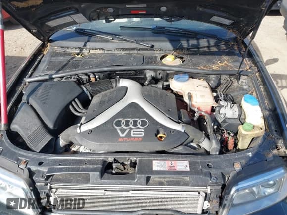 ✅ 2000 Audi S4 • VIN: WAUDD68D5YA088367 • Lot: 43183321. Wystawiony na IAAI z przebiegiem 117 274 mil. Bezpłatny archiwum sprzedaży aukcyjnych z USA i szczegółowy raport historii pojazdu na DreamBid. Zdjęcie 10.