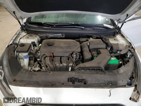 2018 Hyundai Sonata SE с VIN 5NPE24AF0JH606557, выставлен на аукционе Copart как лот 80921715 с пробегом 45 770 миль миль и Списание • Salvage title. История ставок и продаж доступна на DreamBid. Изображение 11.