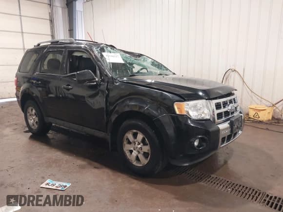 ✅ 2010 Ford Escape Limited • VIN: 1FMCU9EG9AKB89549 • Lot: 42128217. Listed on IAAI with 192,617 mi. Free auction sales archive from the USA and detailed vehicle history report at DreamBid. Image 1.