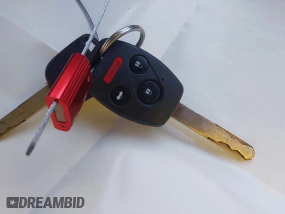 ✅ 2011 Honda Accord EX • VIN: 1HGCP2F70BA033393 • Lot: 43531012. Listed on IAAI with 216,455 mi. Free auction sales archive from the USA and detailed vehicle history report at DreamBid. Image 11.