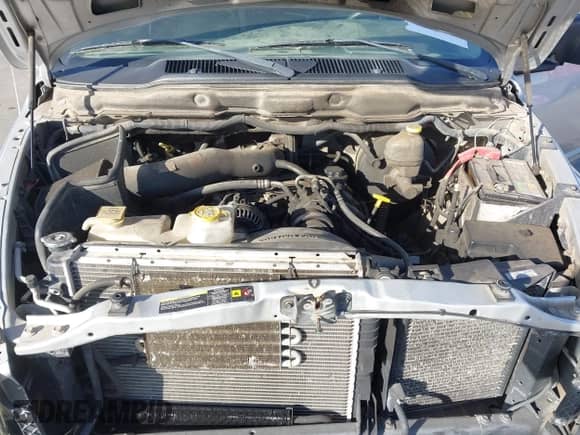 2005 Dodge 1500 SLT z VIN 1D7HU18D85S197523, wystawiony jako IAAI lot #43508659 z przebiegiem 272 402 mil mil oraz . Historia ofert i sprzedaży dostępna na DreamBid. Obrazek 10.