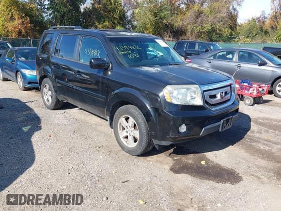 ✅ 2009 Honda Pilot EX-L • VIN: 5FNYF48519B054186 • Лот: 43594836. Опубликован ранее на IAAI с пробегом 148 012 миль. Бесплатный доступ к архиву аукционных продаж из США и подробный отчёт об истории автомобиля на DreamBid. Изображение 1.