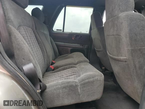 ✅ 2002 Chevrolet Blazer LS • VIN: 1GNDT13W52K153132 • Lot: 59196505. Wystawiony na Copart z przebiegiem 180 251 mil. Bezpłatny archiwum sprzedaży aukcyjnych z USA i szczegółowy raport historii pojazdu na DreamBid. Zdjęcie 11.