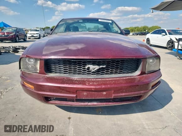 ✅ 2007 Ford Mustang Deluxe • VIN: 1ZVFT80N875210674 • Lot: 84933095. Listed on Copart with 204,834 mi. Free auction sales archive from the USA and detailed vehicle history report at DreamBid. Image 5.