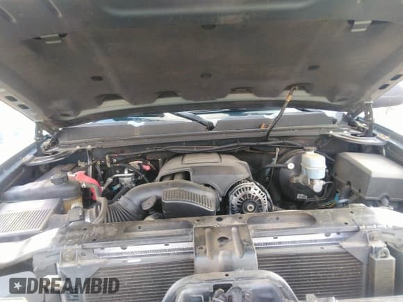 ✅ 2009 Chevrolet Silverado 1500 • VIN: 2GCEC290391123787 • Lot: 42985952. Wystawiony na IAAI z przebiegiem 330 984 mil. Bezpłatny archiwum sprzedaży aukcyjnych z USA i szczegółowy raport historii pojazdu na DreamBid. Zdjęcie 10.