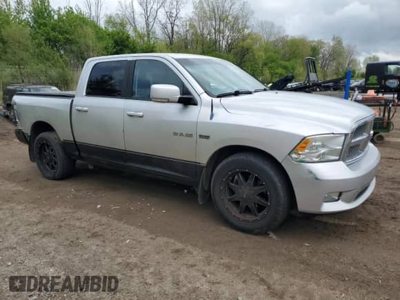 2010 Dodge 1500 Sport z VIN 1D7RV1CT6AS172534, wystawiony jako Copart lot #56590005 z przebiegiem 261 812 mil mil oraz Szkoda całkowita • Salvage title. Historia ofert i sprzedaży dostępna na DreamBid. Obrazek 4.