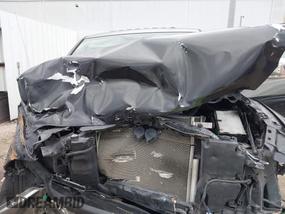 ✅ 2009 Dodge 1500 SLT • VIN: 1D3HV13T09S702280 • Lot: 42163173. Wystawiony na IAAI z przebiegiem Nie podano. Bezpłatny archiwum sprzedaży aukcyjnych z USA i szczegółowy raport historii pojazdu na DreamBid. Zdjęcie 10.