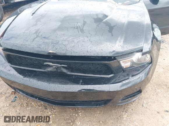 ✅ 2010 Ford Mustang V6 • VIN: 1ZVBP8EN7A5172034 • Лот: 43041847. Опубликован ранее на IAAI с пробегом 252 567 миль. Бесплатный доступ к архиву аукционных продаж из США и подробный отчёт об истории автомобиля на DreamBid. Изображение 6.