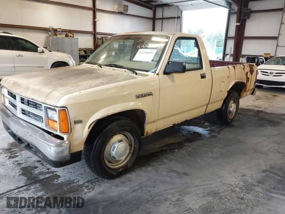 1987 Dodge Dakota z VIN 1B7GN14M1HS486188, wystawiony jako IAAI lot #42290899 z przebiegiem 100 085 mil mil oraz . Historia ofert i sprzedaży dostępna na DreamBid. Obrazek 2.