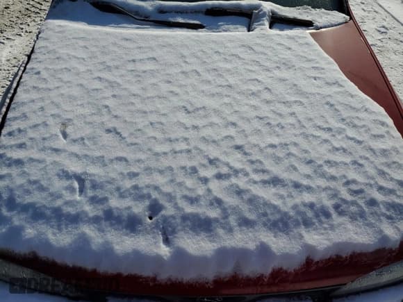 ✅ 1996 Subaru Impreza Outback Special Sports • VIN: JF1GF4858TH817202 • Lot: 88293945. Listed on Copart with 110,990 mi. Free auction sales archive from the USA and detailed vehicle history report at DreamBid. Image 11.