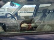 ✅ 2004 Land Rover Range Rover HSE • VIN: SALMF11464A143759 • Lot: 49547715. Wystawiony na Copart z przebiegiem Nie podano. Bezpłatny archiwum sprzedaży aukcyjnych z USA i szczegółowy raport historii pojazdu na DreamBid. Zdjęcie 7.