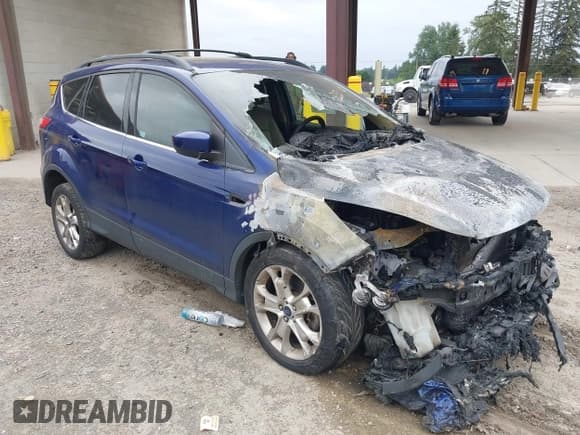 ✅ 2013 Ford Escape SE • VIN: 1FMCU9G90DUD10802 • Lot: 42257058. Listed on IAAI with Not provided. Free auction sales archive from the USA and detailed vehicle history report at DreamBid. Image 1.