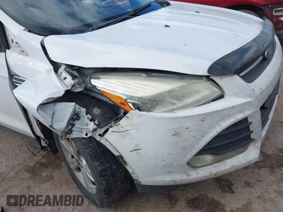 ✅ 2015 Ford Escape SE • VIN: 1FMCU0GXXFUA94101 • Lot: 43557020. Wystawiony na IAAI z przebiegiem 258 848 mil. Bezpłatny archiwum sprzedaży aukcyjnych z USA i szczegółowy raport historii pojazdu na DreamBid. Zdjęcie 6.