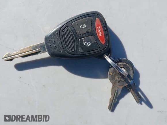 ✅ 2005 Dodge Dakota SLT • VIN: 1D7HW48N95S110474 • Lot: 43513144. Listed on IAAI with 209,765 mi. Free auction sales archive from the USA and detailed vehicle history report at DreamBid. Image 11.