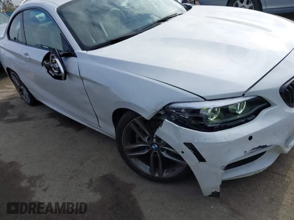 ✅ 2018 BMW 2 Series 230i • VIN: WBA2J1C52JVD09525 • Лот: 42098300. Опубликован ранее на IAAI с пробегом 37 945 миль. Бесплатный доступ к архиву аукционных продаж из США и подробный отчёт об истории автомобиля на DreamBid. Изображение 17.