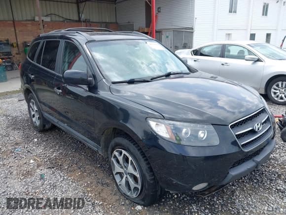 ✅ 2009 Hyundai Santa Fe SE • VIN: 5NMSH13E09H288324 • Lot: 42783569. Listed on IAAI with 251,737 mi. Free auction sales archive from the USA and detailed vehicle history report at DreamBid. Image 1.