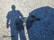 ✅ 2013 Hyundai Santa Fe Sport • VIN: 5XYZT3LB0DG086455 • Лот: 92311255. Опубликован ранее на Copart с пробегом 231 113 миль. Бесплатный доступ к архиву аукционных продаж из США и подробный отчёт об истории автомобиля на DreamBid. Изображение 13.